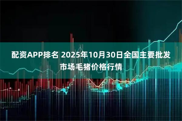 配资APP排名 2025年10月30日全国主要批发市场毛猪价格行情