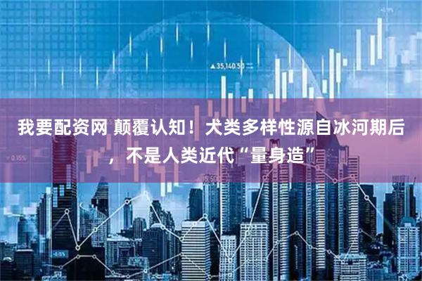 我要配资网 颠覆认知！犬类多样性源自冰河期后，不是人类近代“量身造”